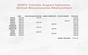 2024 Yılında Asgari işletme/ Şirket Beyanname Maliyetleri